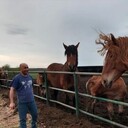 ���������� �����-���������, ���� ������� �a���, 44 ����, ������������ ��� c�������� ���������