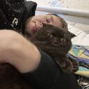 ���������� ����, ���� ������� ������, 26 ���, ������������ ��� ������, ����� � ���������, ���������