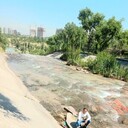 ���������� ������, ���� ������� Samoel, 37 ���, ������������ 