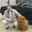 ���������� ��������, ���� ������� ����, 45 ���, ������������ ��� ������, ����� � ���������, c�������� ���������