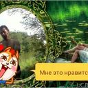 ���������� �������, ���� ������� ����, 44 ����, ������������ ��� ������