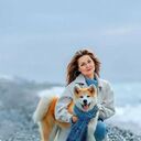 ���������� �����, ���� ������� �����, 66 ���, ������������ ��� c�������� ���������