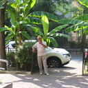  ,   , 71 ,   ,   , c 