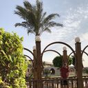 ���������� ������, ���� ������� Martikyan, 29 ���, ������������ ��� ������, ����� � ���������