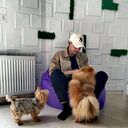 ���������� �������, ���� ������� ����������, 30 ���, ������������ ��� ������, ����� � ���������