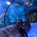 ���������� ������, ���� ������� �����, 35 ���, ������������ ��� ������, ����� � ���������