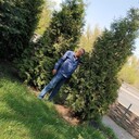 ���������� ���������, ���� ������� ��������, 56 ���, ������������ ��� ������, ����� � ���������