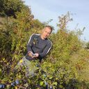 ���������� �����, ���� ������� ��������, 53 ����, ������������ ��� ������, ����� � ���������