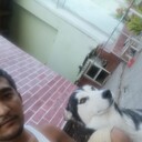  ,   Sher Alex, 35 ,   ,   , c , 