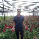 ���������� ����, ���� ������� ������, 43 ����, ������������ ��� ������, ����� � ���������, c�������� ���������