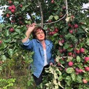 ���������� ����������, ���� ������� ���, 60 ���, ������������ ��� c�������� ���������, ���������