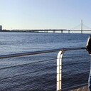 ���������� �����-���������, ���� ������� �������, 29 ���, ������������ ��� ������, ����� � ���������, c�������� ���������