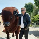  ,   SERGEI, 55 ,   c 