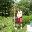 ���������� �����, ���� ������� ���, 41 ���, ������������ ��� ������