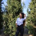  ,   , 24 ,   ,   , c 