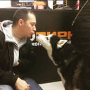 ���������� ������, ���� ������� ���������, 37 ���, ������������ ��� ������, ����� � ���������, c�������� ���������, ���������