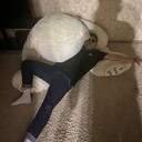  ,   , 27 ,   ,   , 