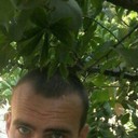  --,   Kolya, 33 ,   ,   , c 