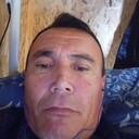  -,   , 51 ,   ,   , c 