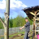 ���������� ����������, ���� ������� Toom, 38 ���, ������������ ��� ������