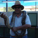  ,   , 52 ,  