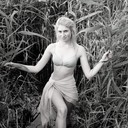 ���������� �����, ���� ������� ����, 31 ���, ������������ ��� ������, ����� � ���������, c�������� ���������