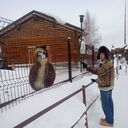 ���������� ������, ���� ������� Roman, 52 ����, ������������ ��� ����� � ���������, c�������� ���������