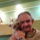 ���������� ����, ���� ������� Vik, 57 ���, ������������ ��� ������, ����� � ���������, c�������� ���������