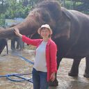 ���������� �����, ���� ������� �����, 49 ���, ������������ ��� ����� � ���������, c�������� ���������