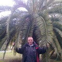 ,   , 55 ,   