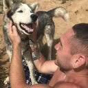  ,   , 33 ,   ,   , c 