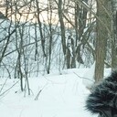  ,   Ivan, 39 ,   ,   