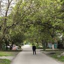  ,   Murad, 27 ,   ,   , c 