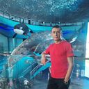 ���������� ���������, ���� ������� ����, 41 ���, ������������ ��� ����� � ���������, c�������� ���������