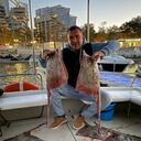 ���������� ���������, ���� ������� �������, 33 ����, ������������ ��� ������, ����� � ���������, c�������� ���������