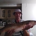 ���������� �����������, ���� ������� �������, 55 ���, ������������ ��� ������, ����� � ���������