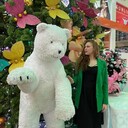 ���������� ���������, ���� ������� Anastasia, 23 ����, ������������ 