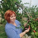  ,   , 52 ,   c 