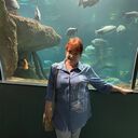  ,   , 66 ,   ,   , 
