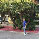   ,   , 39 ,   ,   