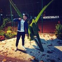 ���������� ���������, ���� ������� �����, 29 ���, ������������ ��� ������, ����� � ���������