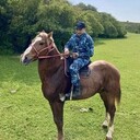 ���������� ������, ���� ������� ���, 27 ���, ������������ ��� ������