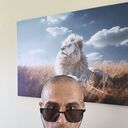 ���������� ���������, ���� ������� �������, 43 ����, ������������ ��� ������, ����� � ���������