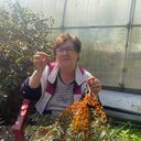  ,   , 68 ,     , c , 