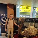 ���������� �����������, ���� ������� ������, 33 ����, ������������ ��� ������, ����� � ���������, c�������� ���������, ���������