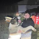 ���������� �������, ���� ������� ��������, 35 ���, ������������ ��� ������, ����� � ���������, c�������� ���������, ���������