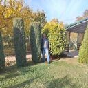  ,   , 45 ,   ,   , c , 