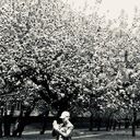 ���������� ������, ���� ����� ����, 22 ����, ������������ ��� ������, ����� � ���������, c�������� ���������