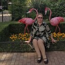  ,   , 60 ,   c 