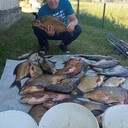  ,   , 55 ,   ,   